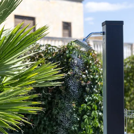 فيلة Golden Shine-primosten *