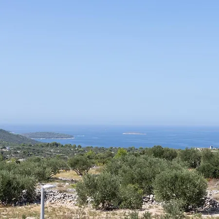 Golden Shine-primosten