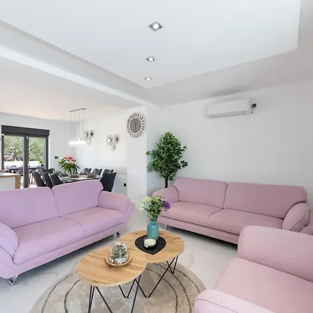 فيلة Golden Shine-primosten