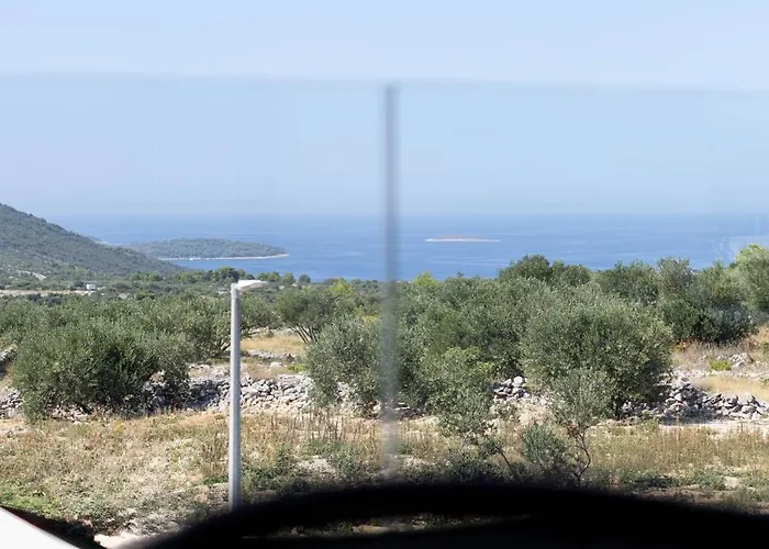 Golden Shine-primosten فيلة