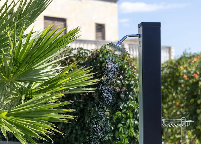 فيلة Golden Shine-primosten *