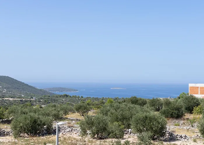 Golden Shine-primosten