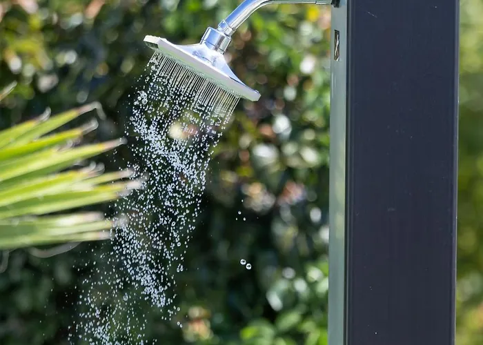 Golden Shine-primosten *