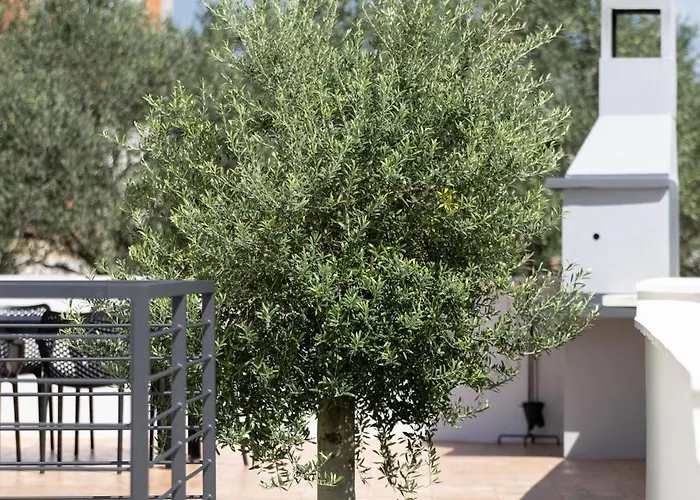 Golden Shine-primosten Villa *