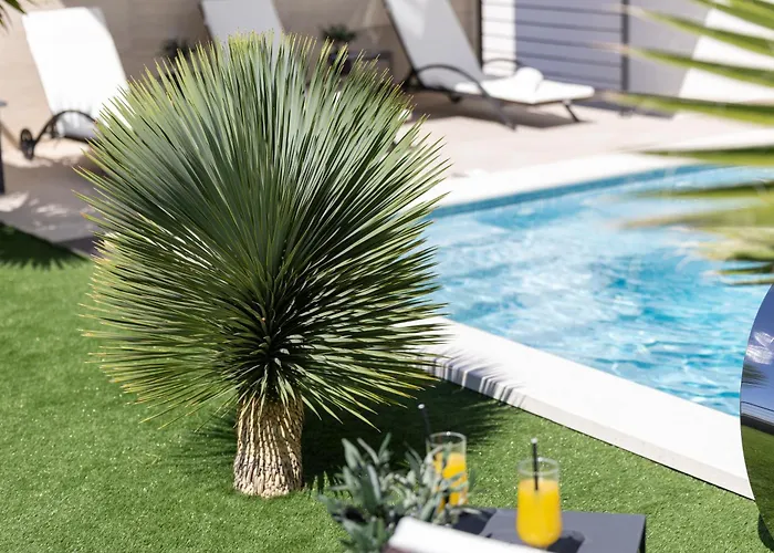 Golden Shine-primosten فيلة *